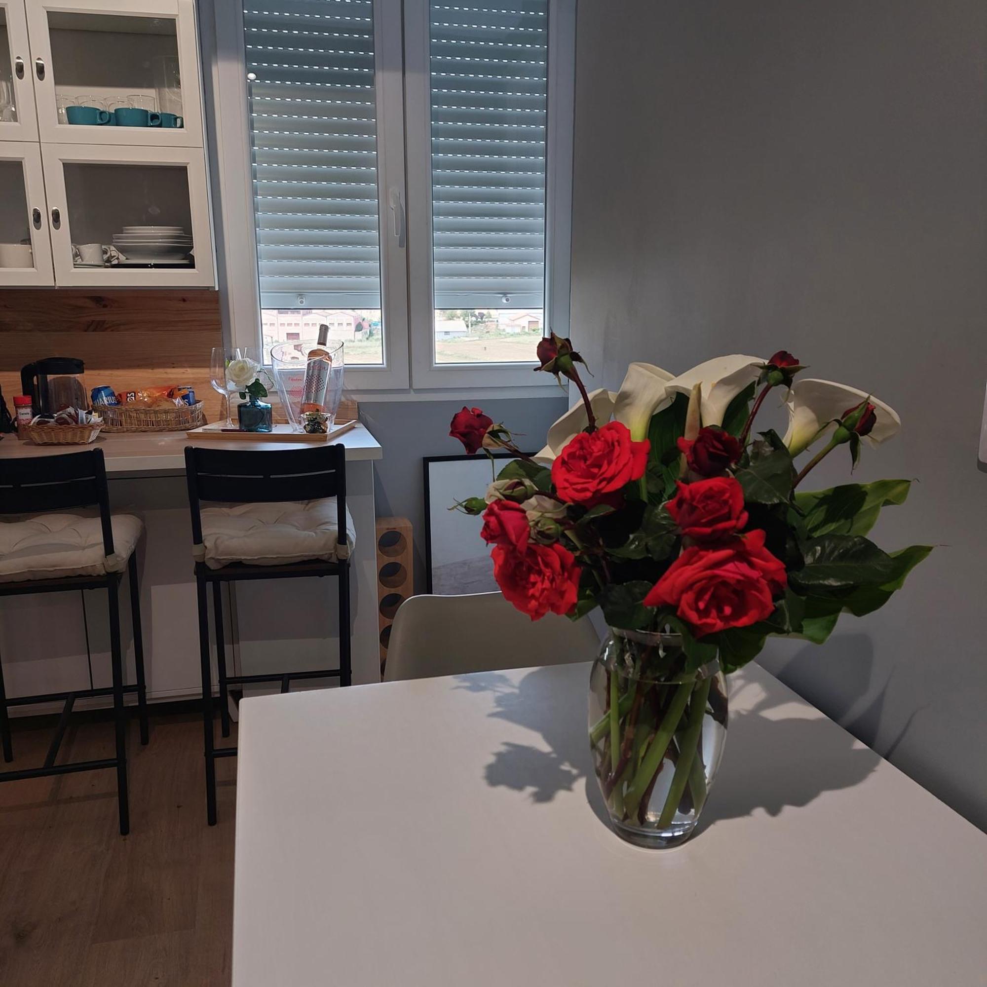 Apartamento Con Vistas A La Montana Oasis San Vicente de la Sonsierra Esterno foto